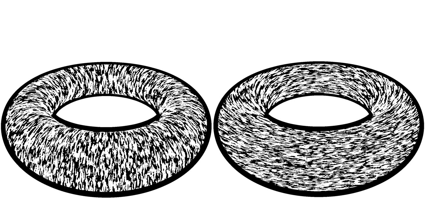 Screenshot of the visualization of the principal curvature of a distance field.